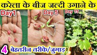 करेला के बीज कैसे उगाए|How to Germinate Bitter Gourd seeds fast|Karela ke beej kaise ugaye|Karela