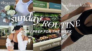 SUNDAY ROUTINEcleaning the apartment, grocery shop w/ me, + productive wellness habits!