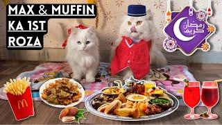 Aj Max & Muffin Ny Roza Rakha  || My 1st Ramadan with my Cats |Rehan & Max