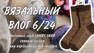 ВЯЗАЛЬНЫЙ ВЛОГ 6/24: носочный клуб от LAMBY YARN, связала гусика, летом вяжу из кид-мохера