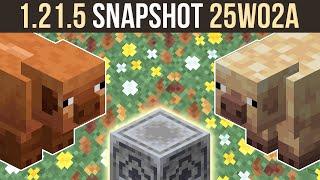 Snapshot 25W02A | New Pigs, Flowers, Leaves & Lodestone Buff | Minecraft 1.21.5