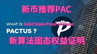 新币PAC挖矿教程  PACTUS 新算法 固态权益证明 挂机挖矿  电脑挂机赚钱  最近价格翻好几倍