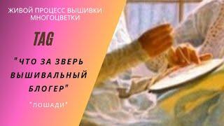 TAG "Что за зверь вышивальный блогер?"