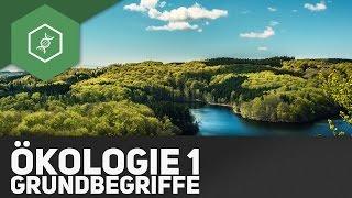 Grundbegriffe der Ökologie - Ökologie 1