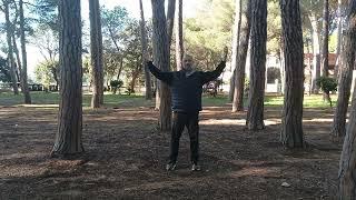 QIGONG - SEQUENZA ATTIVAZIONE CANALI ENERGETICI