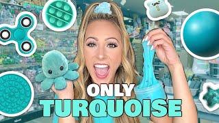 TURQUOISE ONLY FIDGET SHOPPING CHALLENGE 