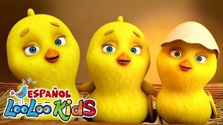 Los Pollitos Dicen Pio Pio - Canciones Infantiles LooLoo Kids - Canciones Divertidas para niños