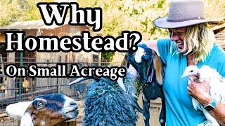 Why Should We Homestead? Even on Small Acreage