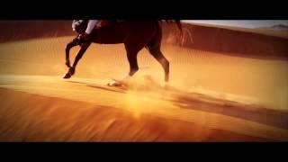 Promoted: Dubai Tour Promo