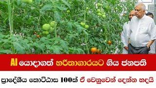 මුල්ම වරට AI තාක්ෂණය කෘෂිකර්මාන්තයට යොදාගත්  AiGrow හරිතාගාරයට ගිය ජනපති  හදපු වැඩපිළිවෙල