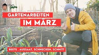 Gartenarbeit im März - Gemüsegarten, Stauden, Beeren und Hochbeet