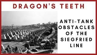 Dragon's teeth – Anti-tank obstacles of the Siegfried Line
