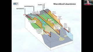 The Sedimentology of Palaeontology: How to Accumulate Highly Fossiliferous Deposits