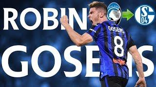 Robin Gosens - FC Schalke 04 Transfer Target ᴴᴰ