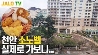 천안 소노벨 내돈내산 솔직후기