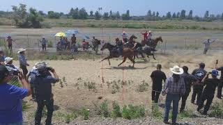 El Alacrán contra La Morita , El Alacrán gano otra ves, carrera caballo contra yegua