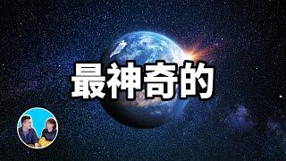 最神奇的星球，地球以及人類存在的真正原因 | 老高與小茉 Mr & Mrs Gao