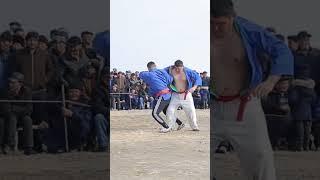 ГАЛЫМЖАН ШОЛТАЕВ КЕГЕЙЛИ РАЙОНЫ ПАЛУАНЫ #kurash #judo #uzbekistan #boxing #qaraqalpaqstan #rek #reki