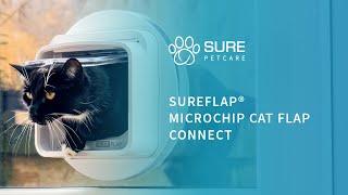 SureFlap® Microchip Cat Flap Connect