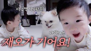 [러너꽃빈vlog] 비상! 재오가 기어다니기 시작해요! 