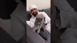 Who's cat is better  #shrots #funny #funnyvideo #hairinediosa