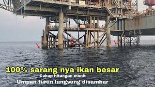 JANGAN SAMPAI LENGAH MANCING IKAN BERGEROMBOL BESAR BESAR!! MANCING IKAN BESAR