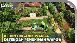 Nggak Cuma Berkebun, KWT Ini Juga Ingin Mengedukasi !