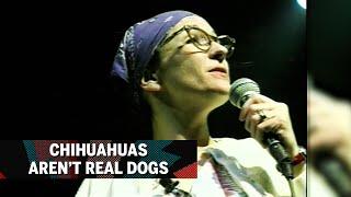 Chihuahuas Aren't Real Dogs | Etta May