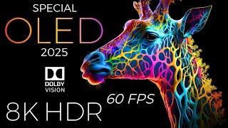 Special OLED Demo 2025 HDR 8K Ultra HD Dolby Vision™ 60fps