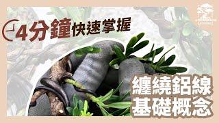 4 分鐘傳授羅漢松纏繞鋁線技巧，小細節讓盆景塑形更好看！｜台灣銘園庭園美術館