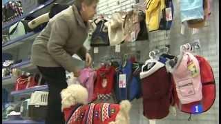 PET SPA MADRID EN LAS NOTICIAS 1 DE RTVE 17 DE ENERO DE 2015