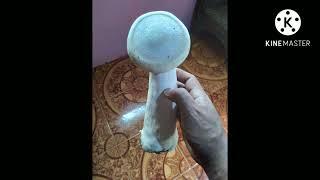 Edible or Poisonous mushroom   Pedro Kulafu myxz vid