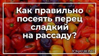 Как правильно посеять перец сладкий на рассаду? | toNature.Info