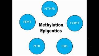 The Importance of Micronutrient Testing in Methylation