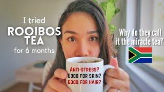 I tried ROOIBOS tea for half a year: the Miracle tea from South Africa? | My South African lifestyle