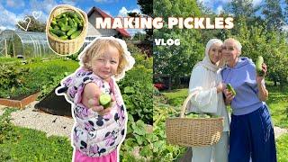 Making Pickles With My Mother!!! VLOG