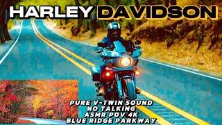 Autumn Ride on a Harley Davidson Low Rider ST Motorcycle PURE Engine Sound - Blue Ridge Parkway ASMR