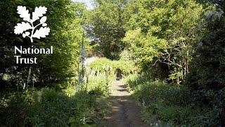 Be one of the first to explore Munstead Wood, the former home of garden designer Gertrude Jekyll