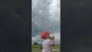 Васюта Клубника Воздушный Змей