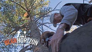 Bear Hunting w/ HOUNDS & MULES  in New Mexico | Bear Horizon Ep 6