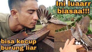 BUKAN PAWANG_TAPI BURUNG LIAR DIBUAT TAKBERKUTIK