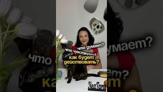 Что думает? Что чувствует? Как будет действовать?