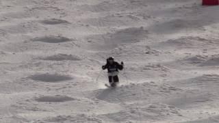 Dylan Marcellini US National Championships Single Moguls Mens Qualification 033117