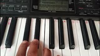 phul butte sari in piano ...fingure lesson