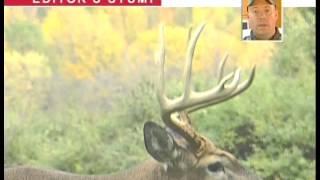 Scoring Whitetail Antlers on the Hoof - Deer Hunting