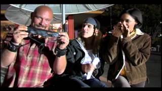 Clerks II - A Closer Look at Interspecies Erotica