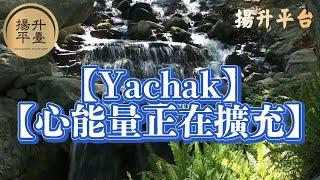 【Yachak】    【心能量正在擴充】