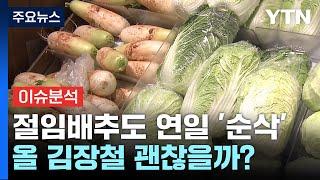 [경제PICK] 절임배추도 연일 '순삭'...올 김장철 괜찮을까? / YTN