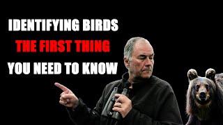 The FIRST thing you NEED to know to identify birds.