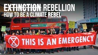 How to be a climate activist | Workshops with Extinction Rebellion